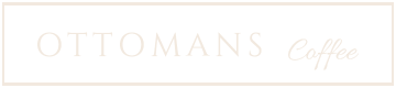 light logo